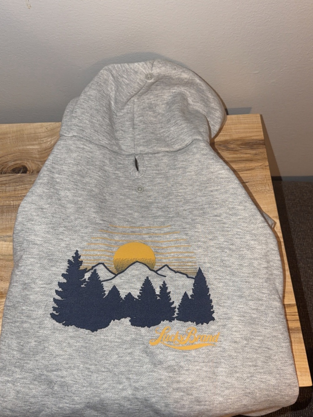 Gray dog Hoodie with Navy Mountain & Yellow Sun Graphic